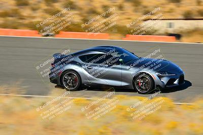 media/Nov-16-2024-Extreme Speed (Sat) [[6587d07cc4]]/Gold Group/Session 3 (The Bowl)/